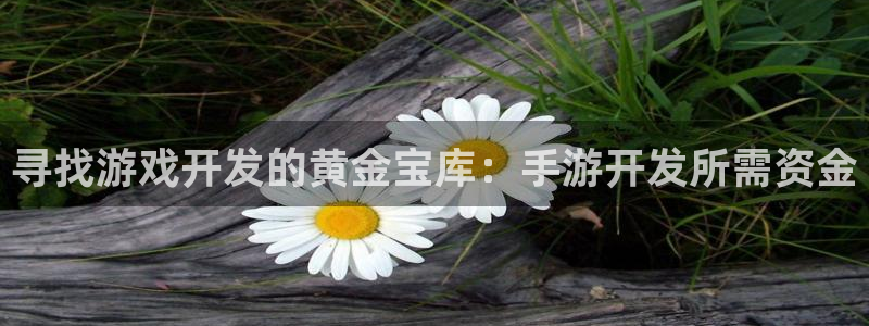 V8娱乐登录：寻找游戏开发的黄金宝库：手游开发所需资金