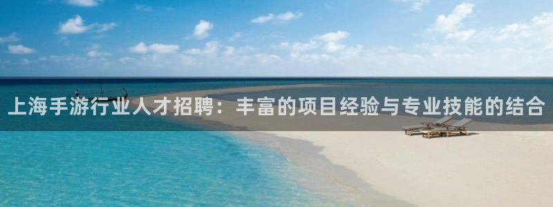 V8娱乐官网：上海手游行业人才招聘：丰富的项目经验与专业技能