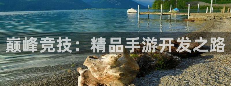 V8娱乐官网：巅峰竞技：精品手游开发之路