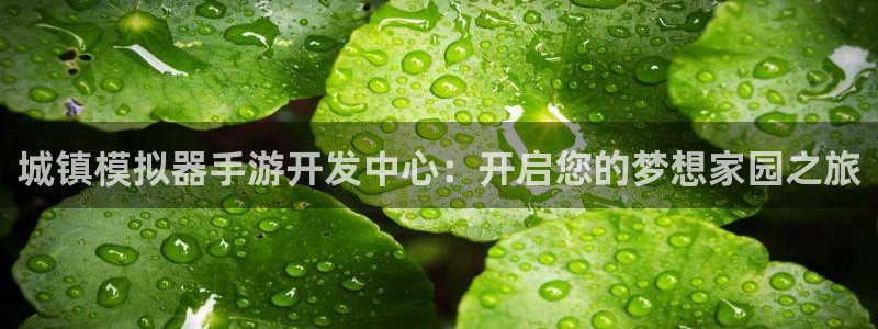 V8娱乐注册：城镇模拟器手游开发中心：开启您的梦想家园之旅