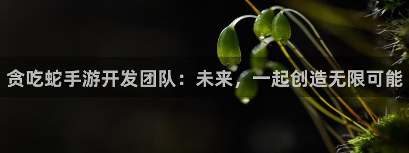 V8娱乐平台：贪吃蛇手游开发团队：未来，一起创造无限可能