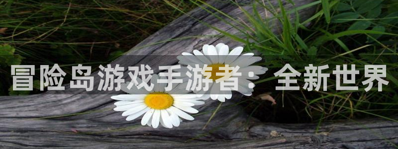 V8娱乐平台：冒险岛游戏手游者：全新世界