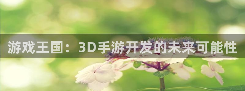 V8娱乐平台：游戏王国：3D手游开发的未来可能性