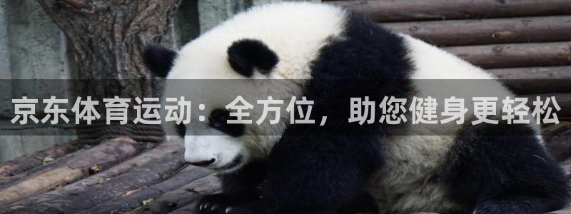谈球吧体育官网