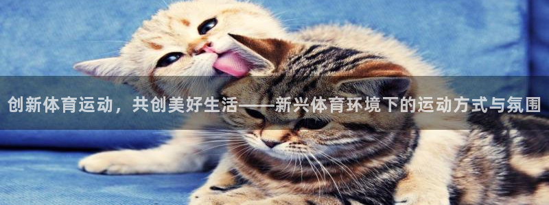 谈球吧：创新体育运动，共创美好生活——新兴体育环境下的运动方式与氛围