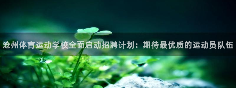 谈球吧体育：沧州体育运动学校全面启动招聘计划：期待最优质的运动员队伍