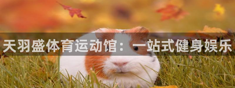 谈球吧体育：天羽盛体育运动馆：一站式健身娱乐